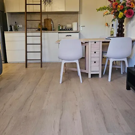 Appartement Amsterdam Zaanseschans House Krommenie